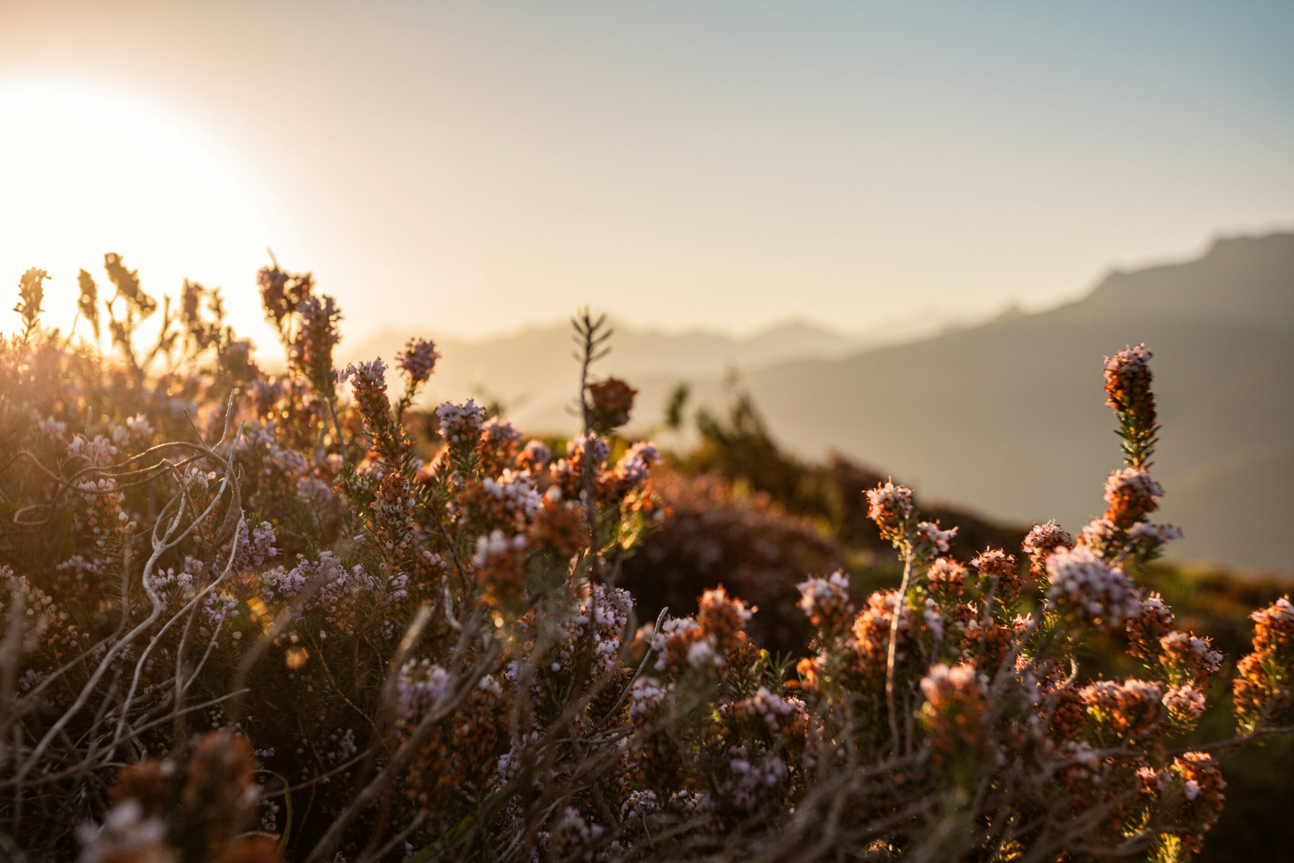 jymy-duhomme-nss76QHjYGI-unsplash