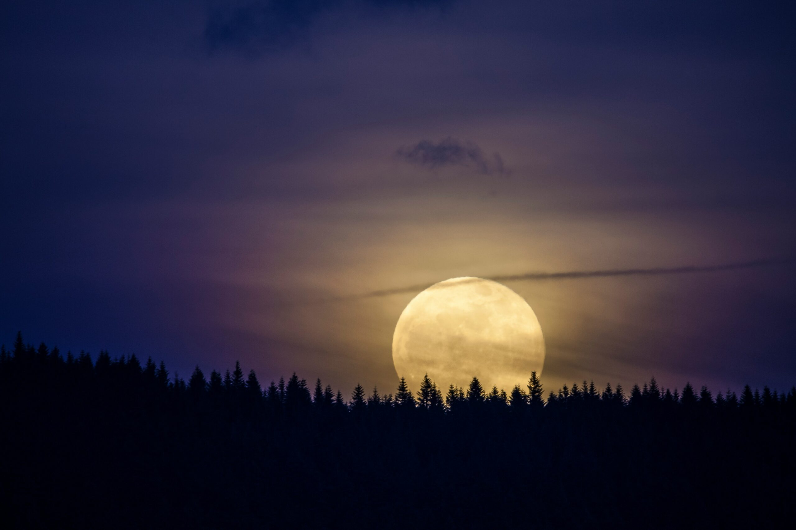 maciek-sulkowski-gmejHJ6k-VY-unsplash