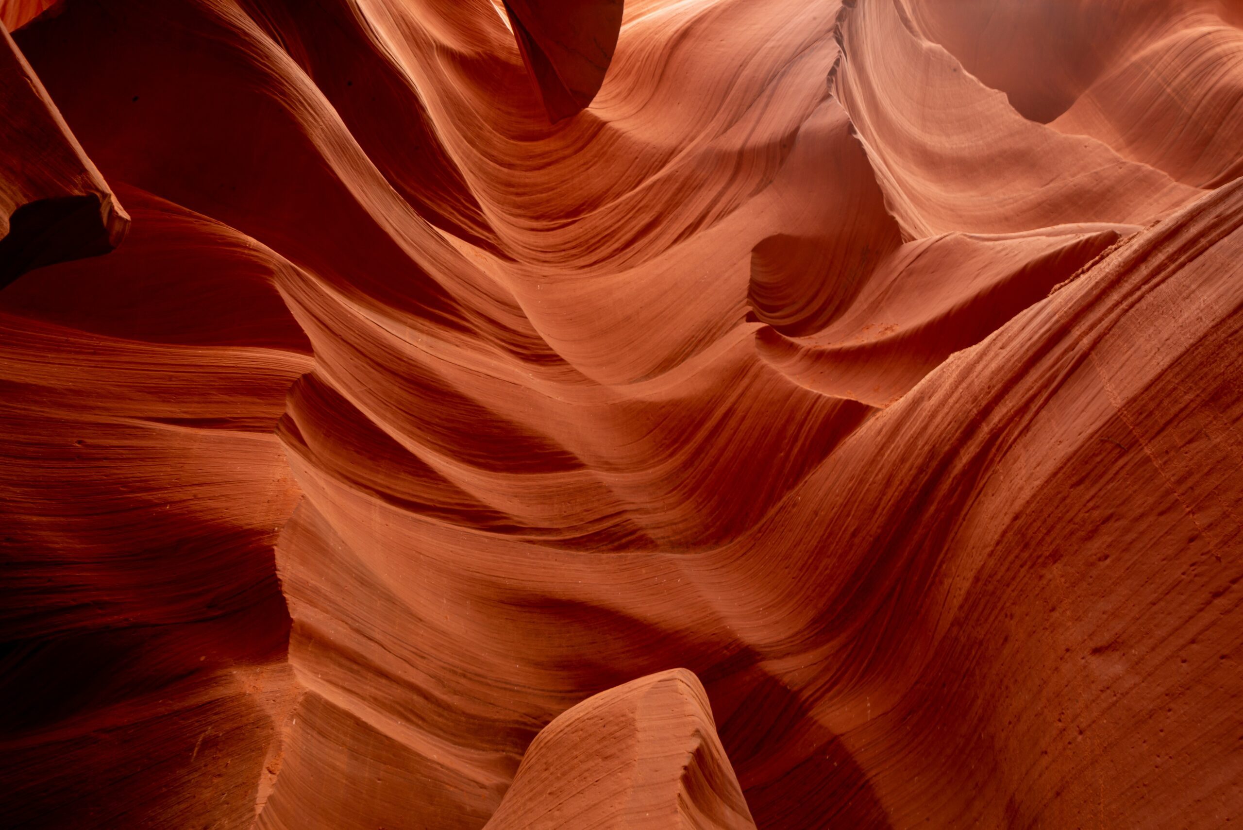 pete-alexopoulos-E2SdYw6lF1c-unsplash