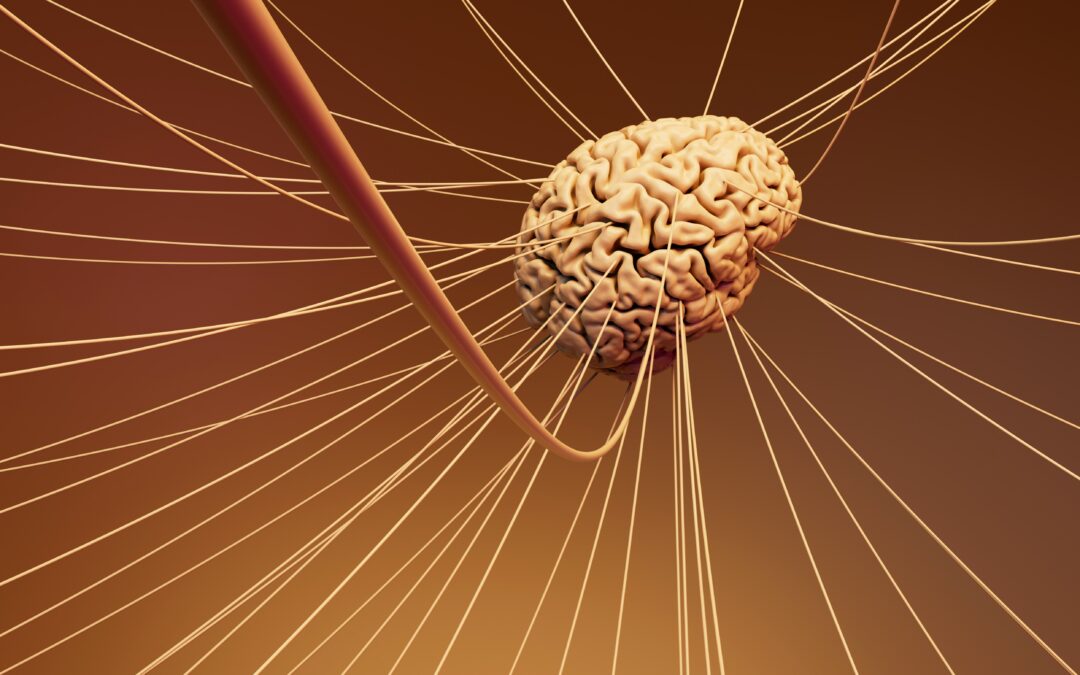 Nervensystemregulation, chronische Schmerzen und die Verbindung von Körper und Psyche